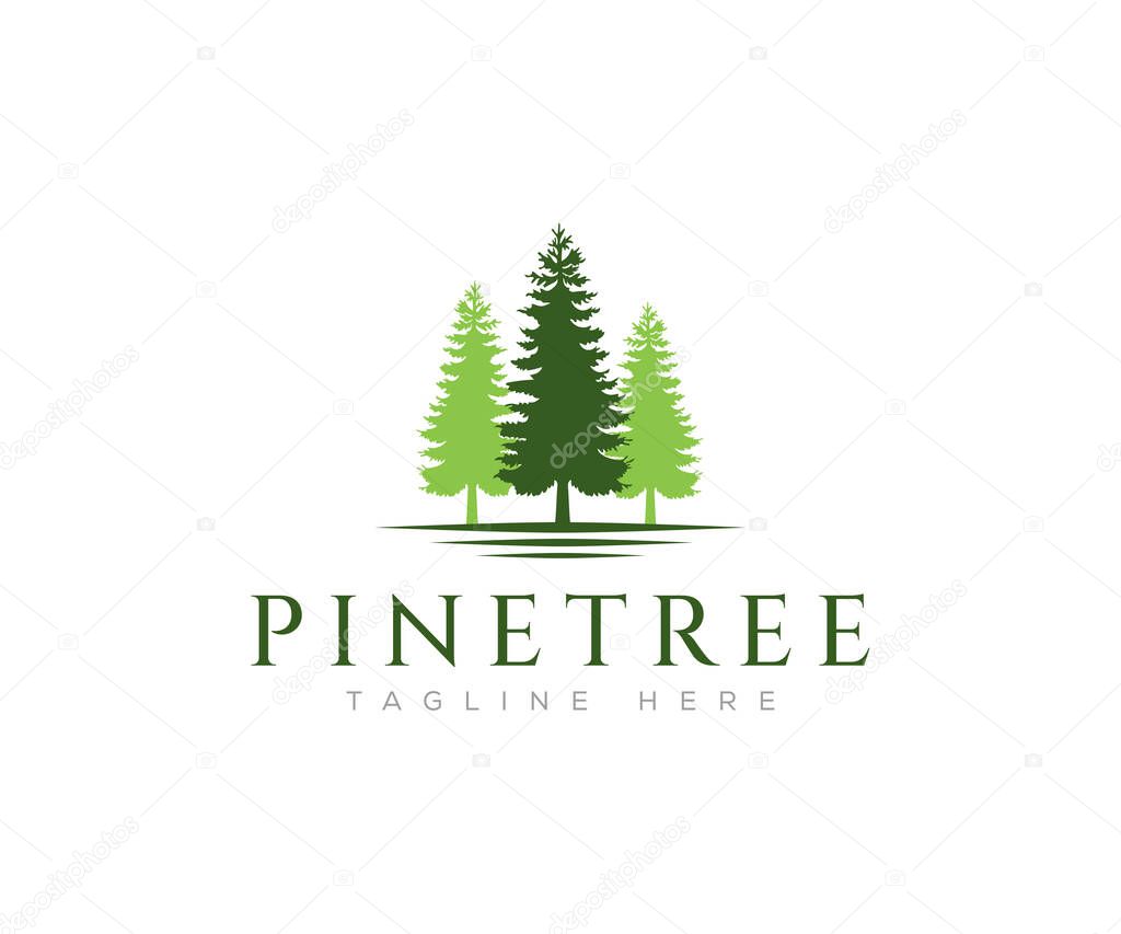 Pine tree logo design template. Tree vector icon