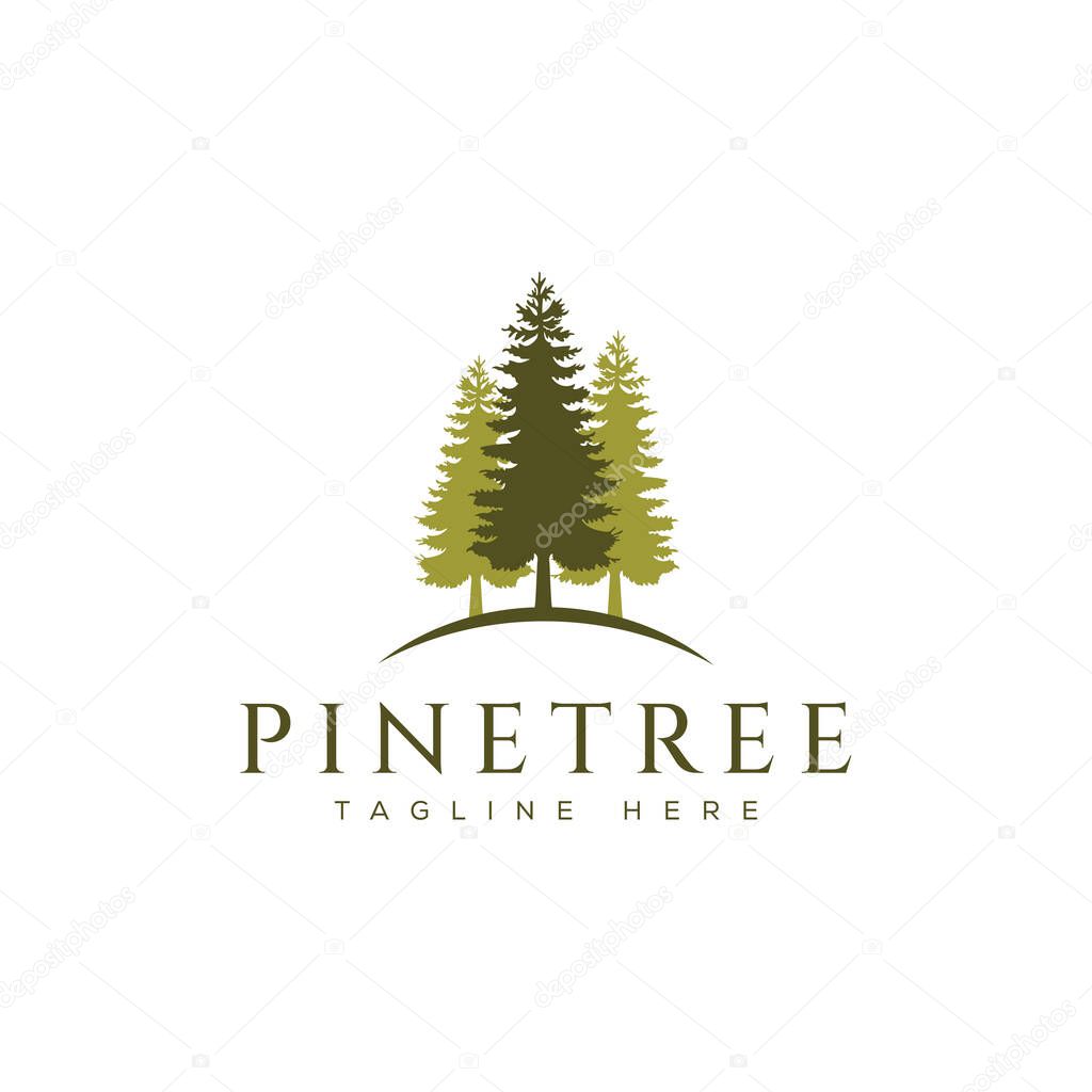 Pine Tree Logo Design. Evergreen, Pines, Spruce, Cedar trees logo design