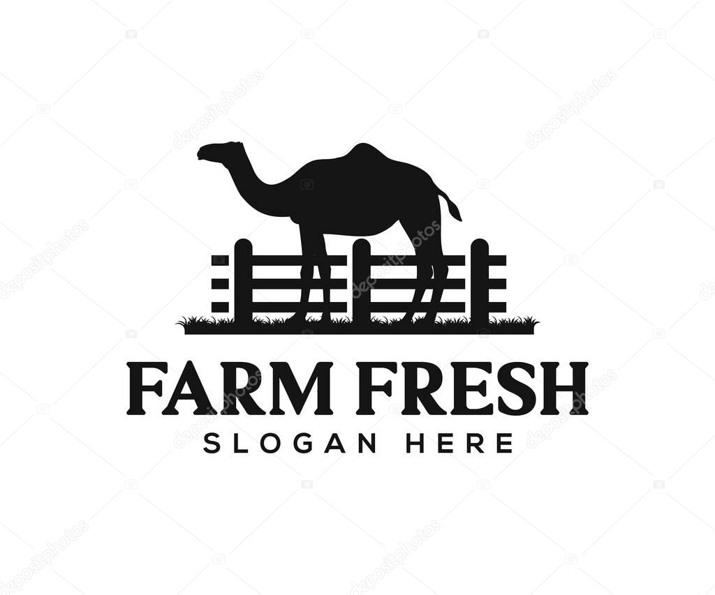Camel logo design vector. Camel farm logo design