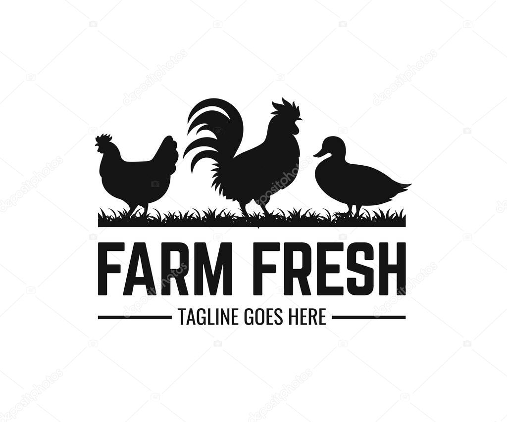 Poultry farms logo design vector. Farm logo design template.