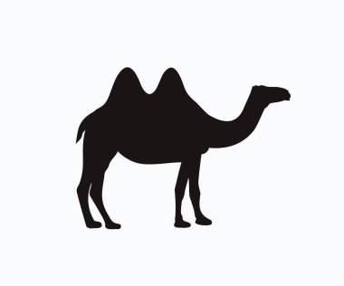 Siluet Deve Vektörü. Dromedary Bactrian Deve Simgesi, Arap Devesi, Bactrian Deve Simgesi