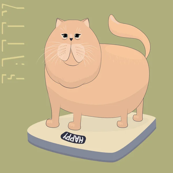 Vektorfet Katt Står Vågen Den Feta Katten Vill Veta Hur — Stock vektor