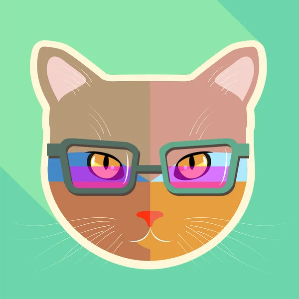 Διάνυσμα Γάτας Γυαλιά Εικονίδιο Γάτας Έγχρωμο Φόντο Μοντέρνο Κατοικίδιο — Διανυσματικό Αρχείο