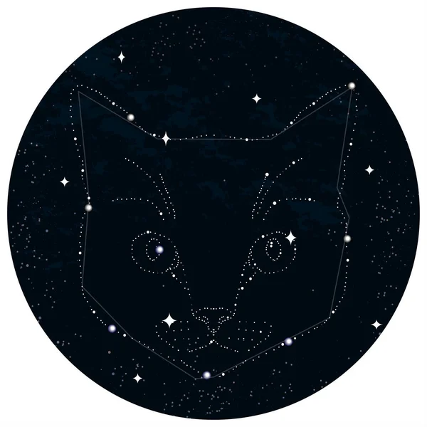 Zodiac Katt Tecken Vektor Illustration — Stock vektor