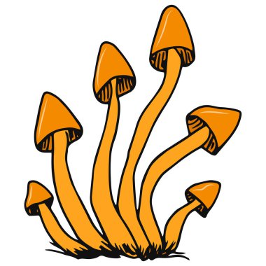 mantar vektör resimleme arkaplanı 