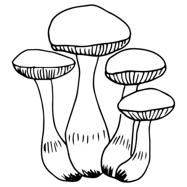 mantar vektör resimleme arkaplanı 