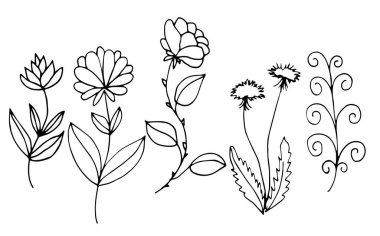 Çiçek desenli vektör çizimi