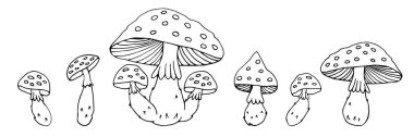 Fly agaric mushrooms. Set. Poisonous mushrooms. Vector illustration, doodle. Isolated background. 
