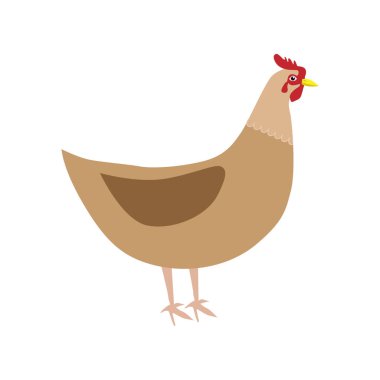 Chicken logo vector design illustration. Chicken farm. 