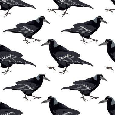 siyah karga vektör resimleme arkaplanı 