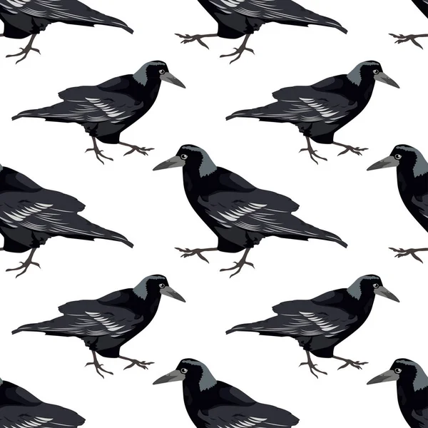 Noir Corbeau Vecteur Illustration Fond — Image vectorielle