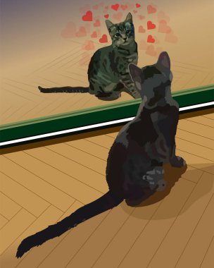 Yavru kedi aynaya bakar..