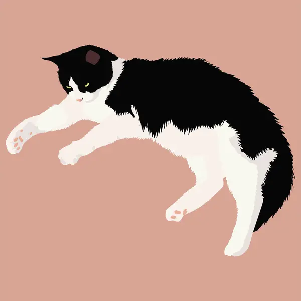 Evcil kedi. Kedi yalan söyler ve dinlenir. Hayvan dinleniyor..
