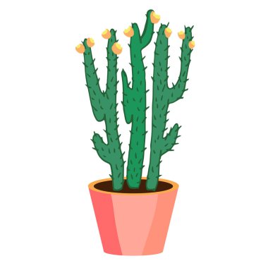 Saksıda çiçekli bir kaktüs bitkisi