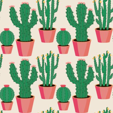 Tencerelerde çeşitli kaktüsler var.