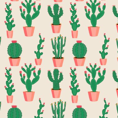 Tencerelerde çeşitli kaktüsler var.