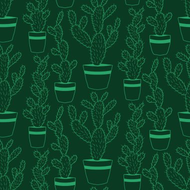 Tencerelerde çeşitli kaktüsler var.