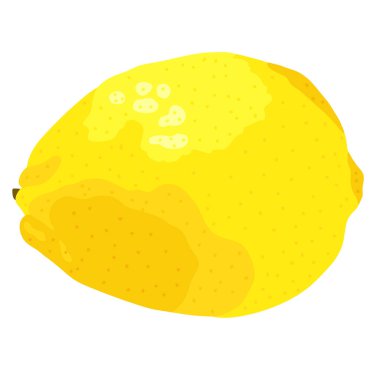 limon meyve ikonu vektörü