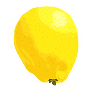 limon meyve ikonu vektörü