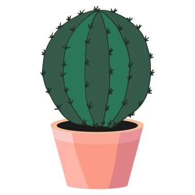 Kaktüs bitkisi, beyaz arka planı olan bir tencerede.