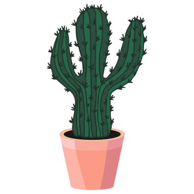 Kaktüs bitkisi, beyaz arka planı olan bir tencerede.