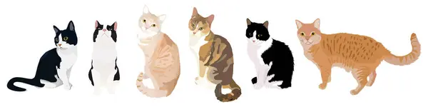 Bir Grup Kedi Sırada Bekliyor — Stok Vektör