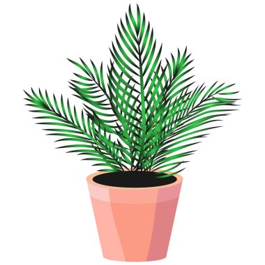 Beyaz arkaplanda izole edilmiş saksı bitkisi, vektör illüstrasyonu