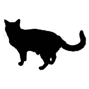 Beyaz arka planda izole edilmiş kedi silueti. Bir kedi resmi. Vektör illüstrasyonu.