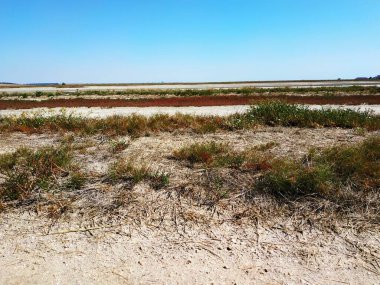 Doğal manzaranın güzel manzarası