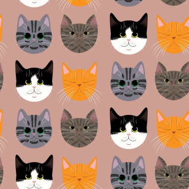 Farklı türlerin kedi yüzleri. Vektör çizimi. Yazdırma için.