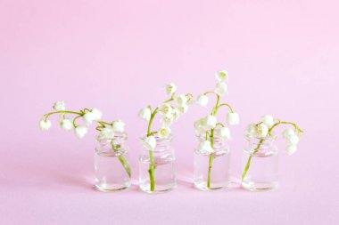 Beyaz arka planda bahar çiçekleri, vadideki zambak. Küçük cam vazolarda çiçek açan zambaklar..