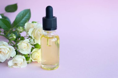 Glass dropper bottle. Cosmetic spa care. Tea rose essential oil. branch of white flowers.