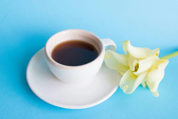Cup Coffee Blue Background Tulip Flower Breakfast Concept — Stock Photo, Image