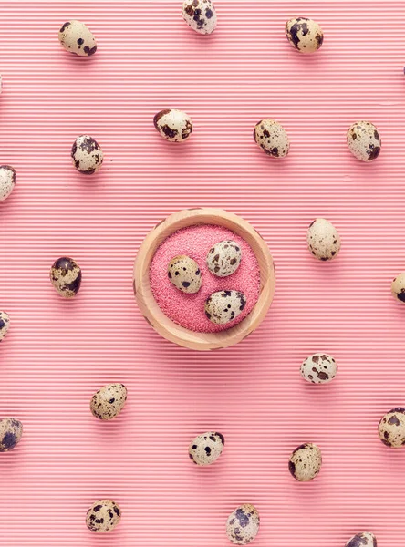 Small Speckled Quail Eggs Pink Bakcground Flat Lay View Cute Royalty Free Stock Images