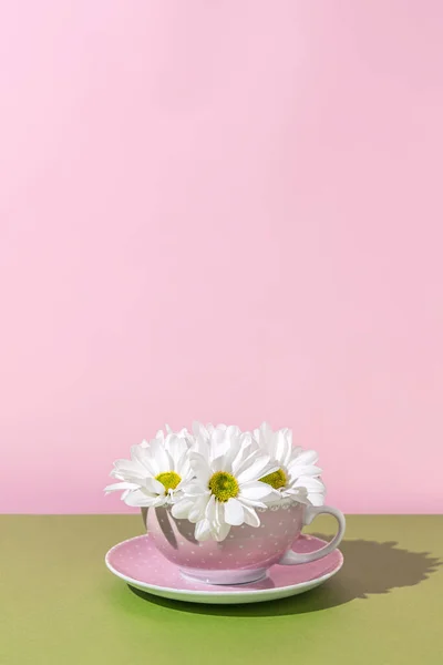 Spring Pink Green Stylish Tea Cup Filled Fresh White Flowers Stockbild