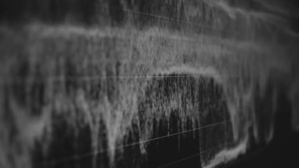 グラフLumetriのスコープ波形コンピュータ画面のショットスクリーンショット記録 マルチカラースコープ 画面の色の黒と白のグラフィック解釈 色補正ルメットグラフ波パレード — ストック動画