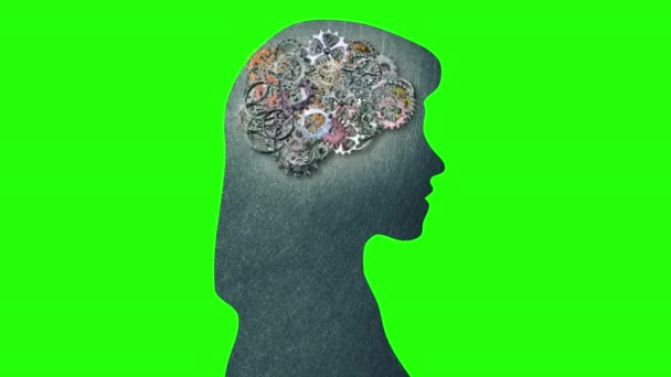 Γυναικεία Γρανάζια Εγκεφάλου Εγκέφαλος Γρανάζια Γρανάζια Άλφα Σκεπτόμενη Γυναίκα Ευφυής — Αρχείο Βίντεο