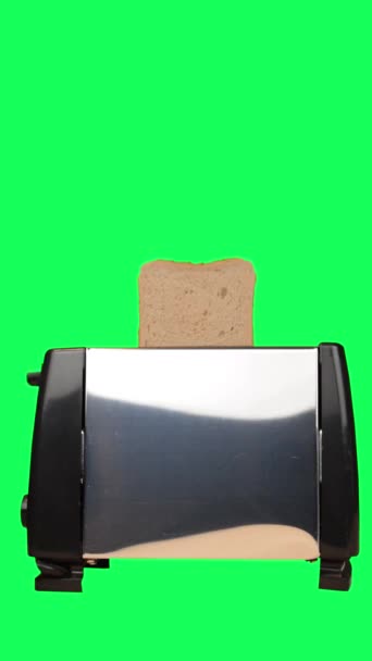 緑色のスクリーンで乾杯するトースターローディングパンは キーを付ける準備ができています 朝食が提供されています トースターローディングと 最初の トースト 素敵なコピースペース コンシューマー — ストック動画