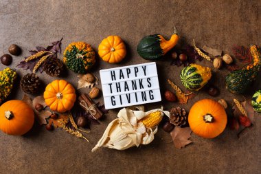 Süslü balkabaklarıyla sonbahar Şükran Günü kompozisyonu. Düz konum, yukarıdan görünüm, karşılama kartı için yaşam mevsimsel arkaplan, kopyalama alanı