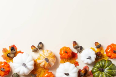 Süslü balkabaklarıyla sonbahar Şükran Günü kompozisyonu. Düz konum, yukarıdan görünüm, karşılama kartı için yaşam mevsimsel arkaplan, kopyalama alanı