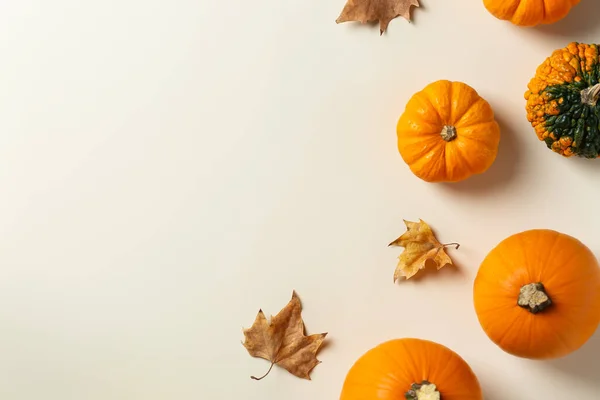 Høstens Takkefest Med Pyntegresskar Flate Sjikt Sett Ovenfra Stillestående Sesongmessig – stockfoto