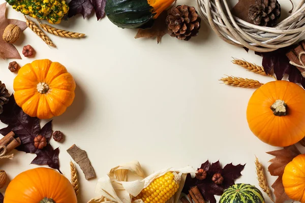 Høstens Takkefest Med Pyntegresskar Flate Sjikt Sett Ovenfra Stillestående Sesongmessig – stockfoto