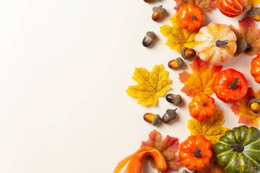 Süslü balkabaklarıyla sonbahar Şükran Günü kompozisyonu. Düz konum, yukarıdan görünüm, karşılama kartı için yaşam mevsimsel arkaplan, kopyalama alanı