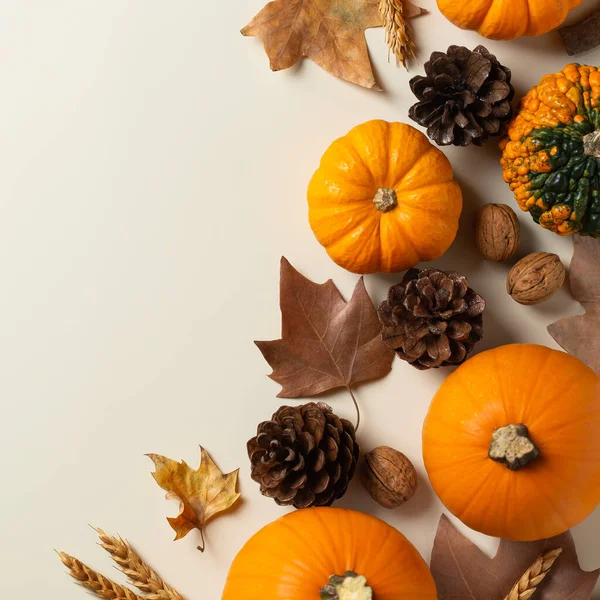 Autumn Fall Thanksgiving Day Composition Decorative Pumpkins Flat Lay View — Stock Photo, Image
