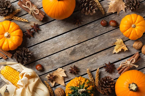 Autumn Fall Thanksgiving Day Composition Decorative Pumpkins Flat Lay View — Stock Photo, Image
