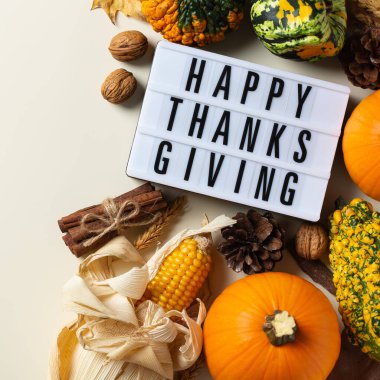 Süslü balkabaklarıyla sonbahar Şükran Günü kompozisyonu. Düz yatış, yukarıdan manzara, tebrik kartı için mevsimlik yaşam arkaplanı