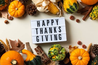 Süslü balkabaklarıyla sonbahar Şükran Günü kompozisyonu. Düz yatış, yukarıdan manzara, tebrik kartı için mevsimlik yaşam arkaplanı