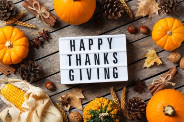 Süslü balkabaklarıyla sonbahar Şükran Günü kompozisyonu. Düz yatış, yukarıdan manzara, tebrik kartı için mevsimlik yaşam arkaplanı