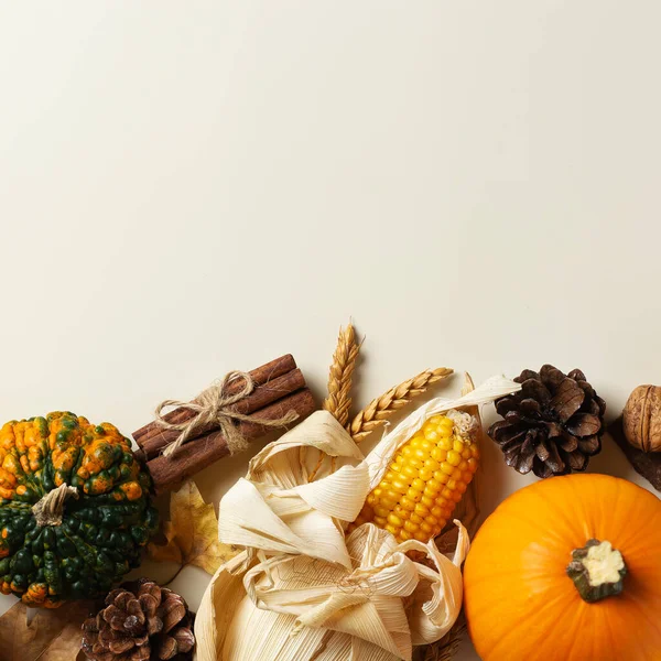 Podzimní Podzimní Díkůvzdání Dekorativními Dýněmi Byt Ležel Pohled Shora Zátiší Royalty Free Stock Obrázky