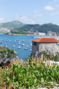 Panoramic view of Castro Urdiales. Harbour with fisherman boats, Cantabria, Spain clipart